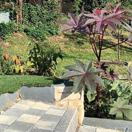 הוילה Wintzenheim-Kochersberg Au Fond Du Jardin מראה חיצוני תמונה